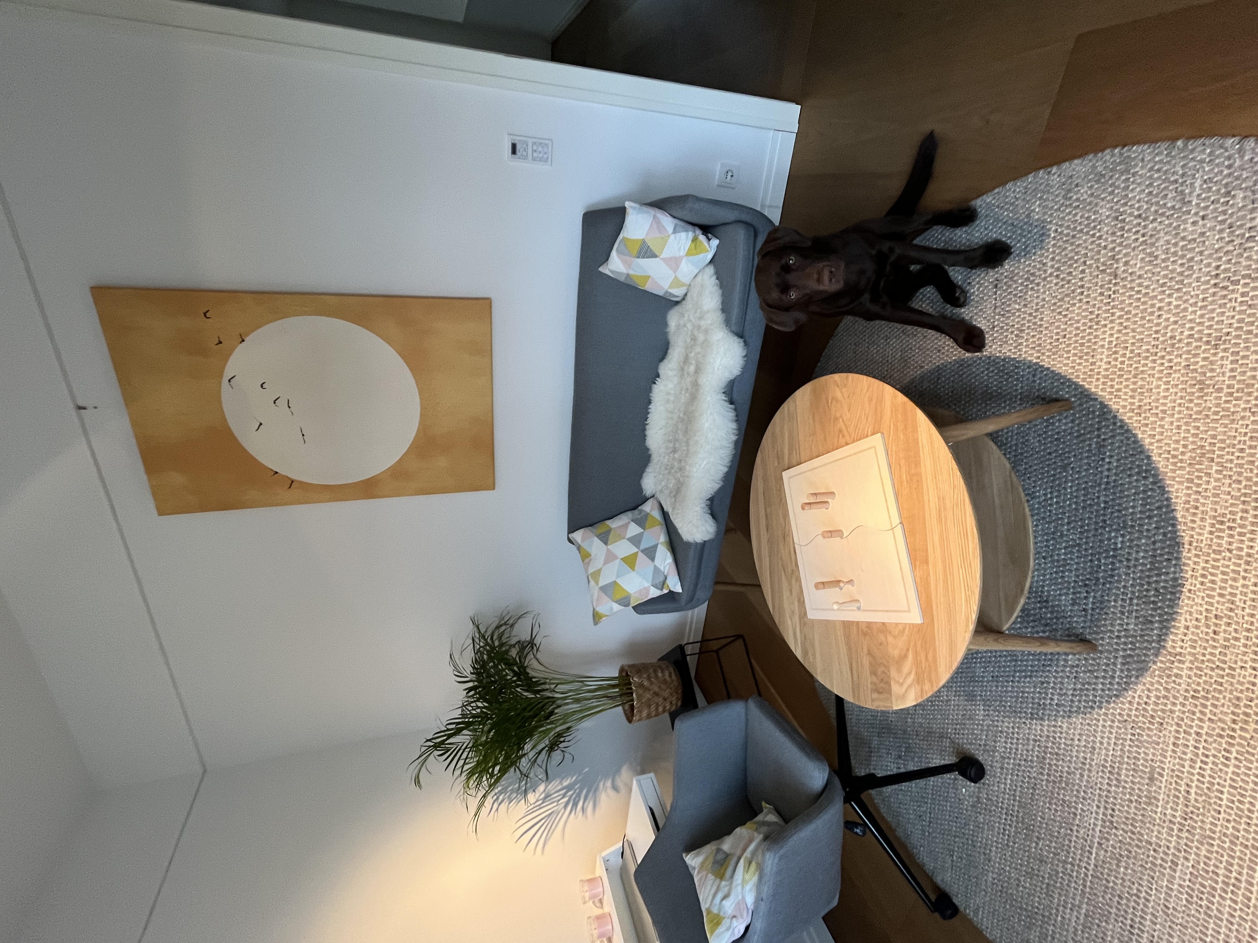 Bild3